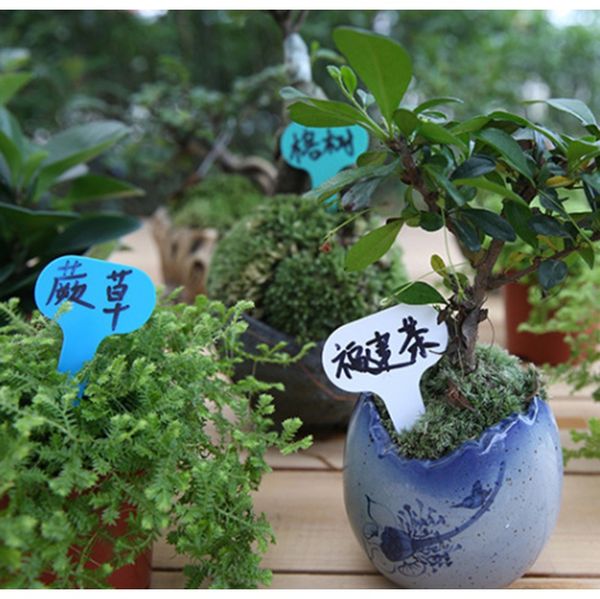 

100pcs plastic plant type t label nursery garden plant pot planter plastic vegetable label tag h bbykqc