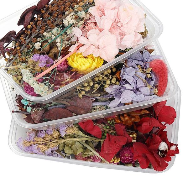 

1box random mix style dried flowers decoration natural floral sticker beauty nail art decals epoxy mold diy filling jewelry h qylcrk