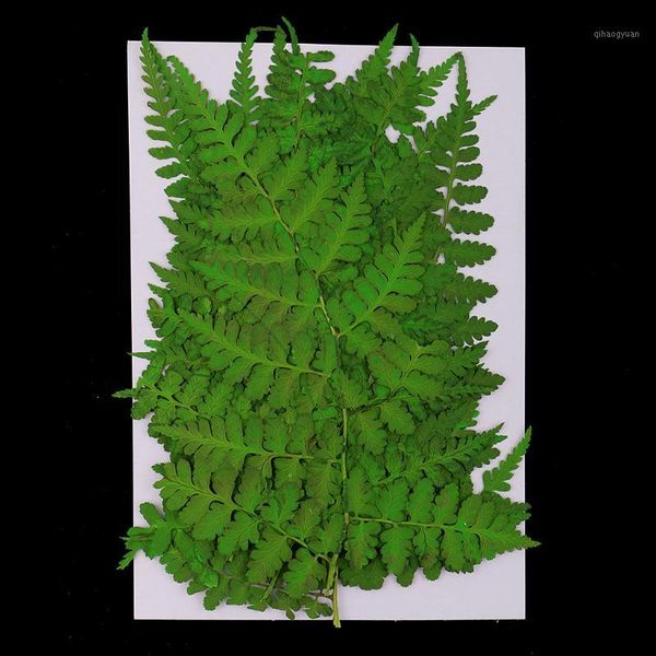 

12 pack pressed leaves natural dried flowers for scrapbooking card making packaging materials art glass craft accessories1