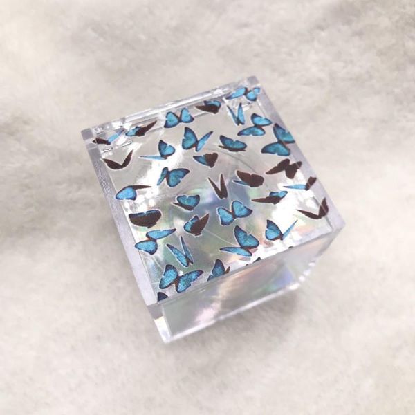 

false eyelashes butterflies acrylic box moq 12pcs/lot empty packaging print your own label lash business