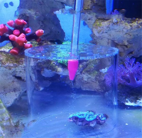 

decorations aquarium coral feeder cover protect prevent fish eating in marine tank