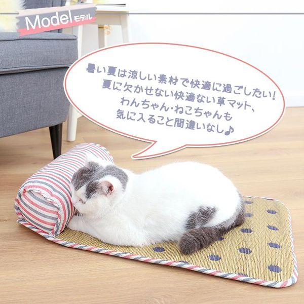 

cat beds & furniture summer cooling mats blanket ice pet dog bed for dogs cats sofa portable tour camping yoga sleeping accessories