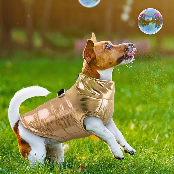 

clothes for small dogs waterproof dog clothes puppy pet jacket winter warm vest dog coat clothing for chihuahua french bbynza