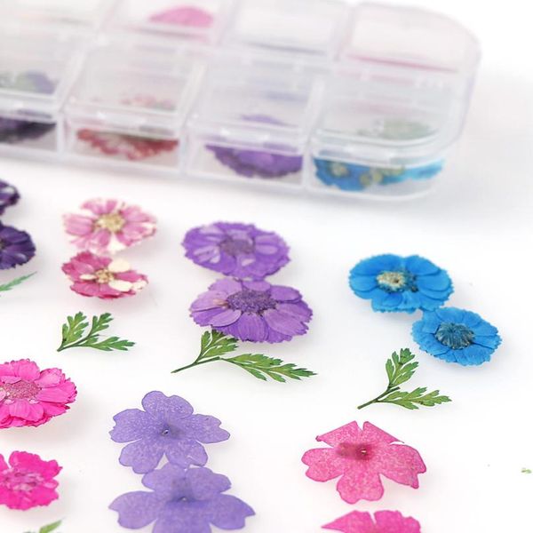 

japanese dried flowers 12 petals real flower eternal flower p therapy crystal box for uv resin epoxy mold de jllcsg