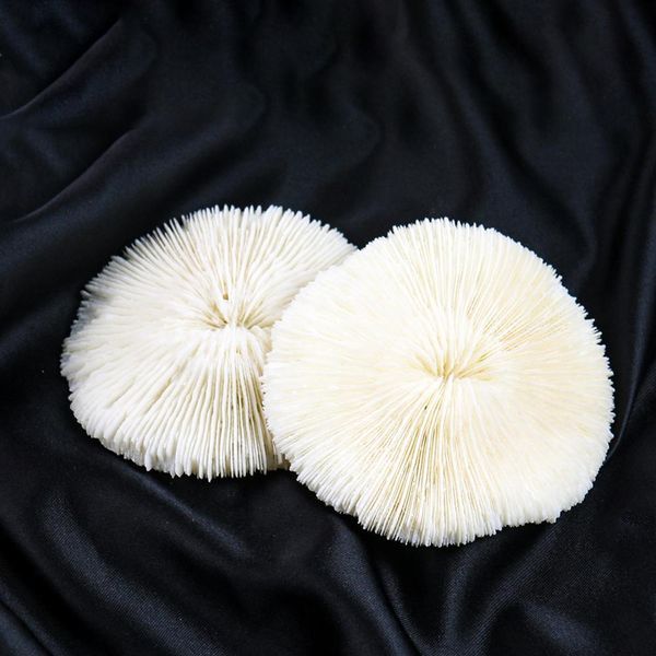 

white coral sea round mushroom coral natural artifical fish aquatic pet supplies aquarium landscape tank ornaments 8 to 10cm h bbyjyt