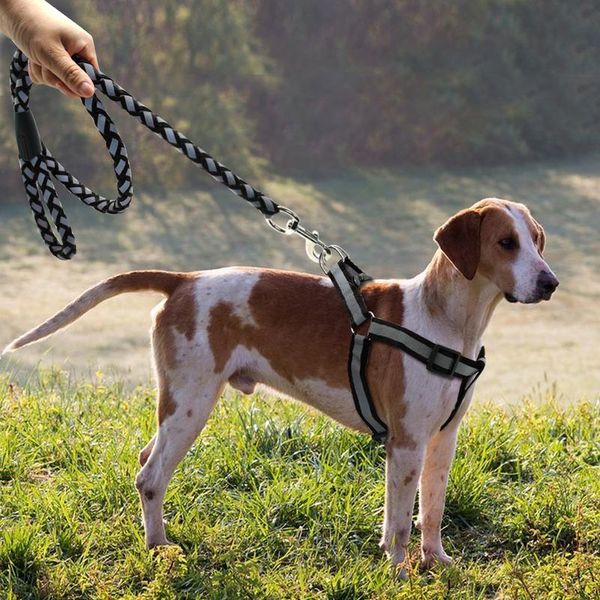 

step-in reflective nylon dog harness vest no pull adjustable pet puppy walking training harness leash set for small me bbybkh