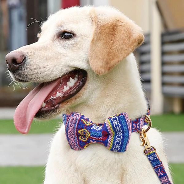 

cute bowknot dog collar adjustable pet puppy collar for small medium dogs cats chihuahua yorkshire pug collar perro pet bbybmg