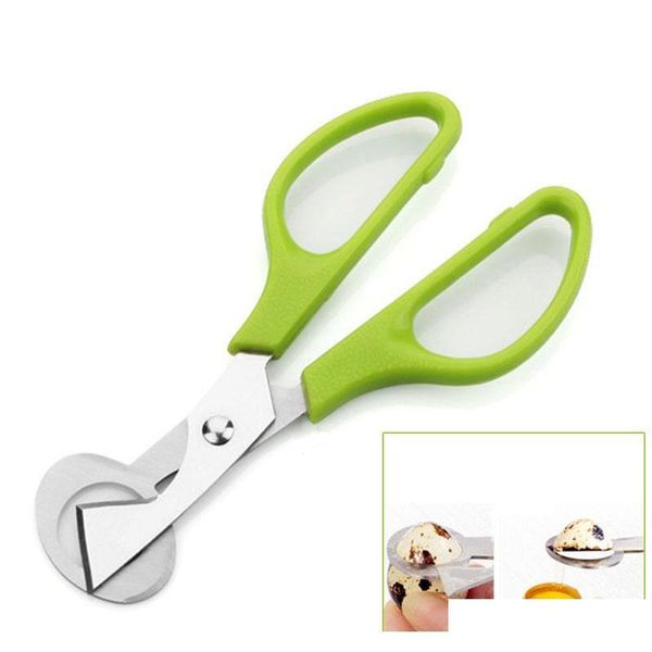 

pigeon quail egg scissor bird cutter opener egg slicers kitchen housewife tool clipper accessories gadg jllawi allguy