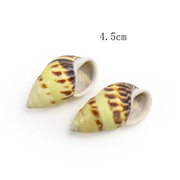 

2pcs 4 5cm flame spiral conch snail seashells specimen collection crafts nautical home decor diy aquarium landscape decoration h bbyozf