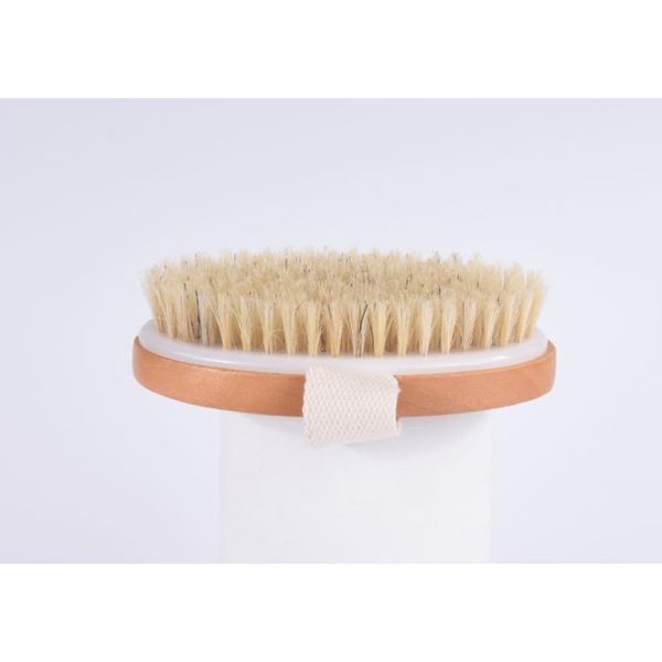 

ppr soft bead bristles shower brush dry skin body brush with natural boar bristles, which can remove dead skin, body jlllkp lucky2005