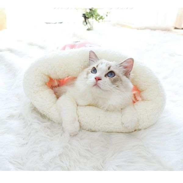 

cat beds & furniture 1pcs pet sleeping bag winter warm flannelsoft comfortable 50x60cm large bed kat products gato mat drop