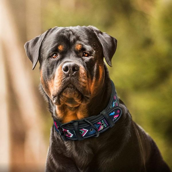 

reflective nylon dog collar adjustable pet collars for medium large dogs pitbull german shephe wmtaku