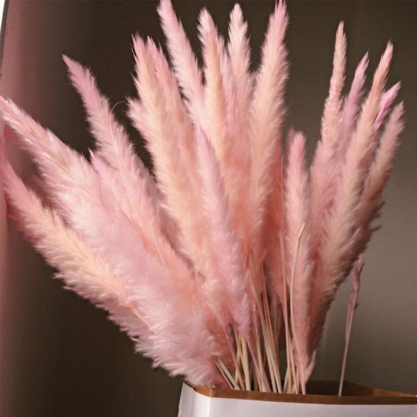 

15pcs natural dried small pampas grass phragmites communis,wedding flower bunch 40 to 68 cm tall for home decor christmas decor