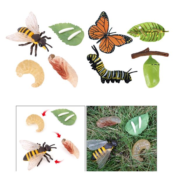 

realistic nature butterfly bee growth child education learning teaching toys
