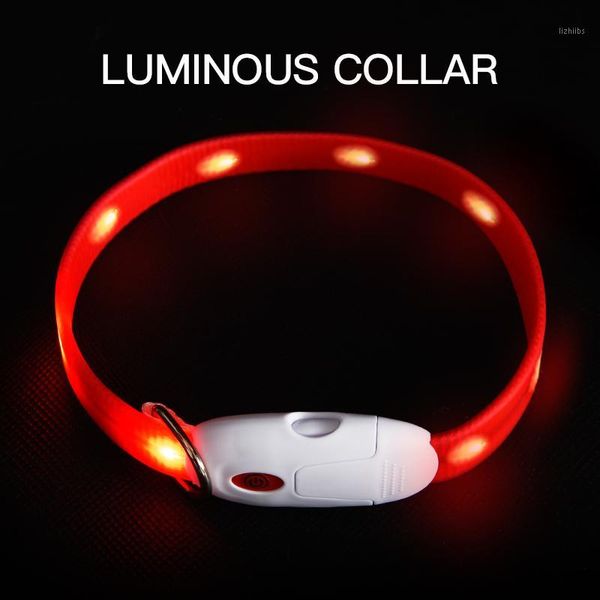 

usb charging pvc dog led collar anti-lost/avoid car accident collar for dogs puppies collars leads led supplies pet products1