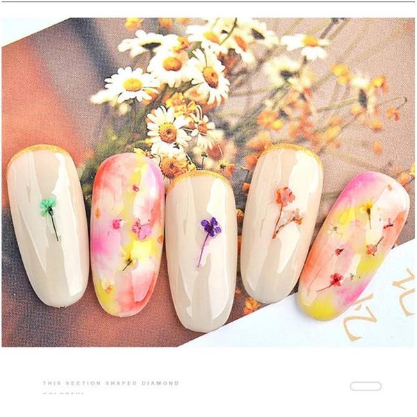 

1 box real dried ammi majus flower dry plants for epoxy resin pendant necklace jewelry making craft diy acc bbyzzl