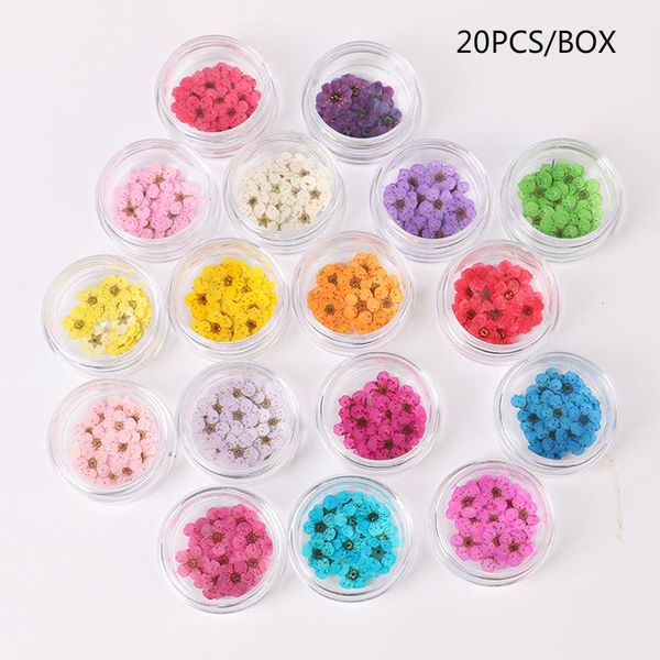 

20pcs/jar dried flowers nail art decorations colorful natural dry flower 3d beauty real floral stickers uv gel manicure decals, Silver;gold