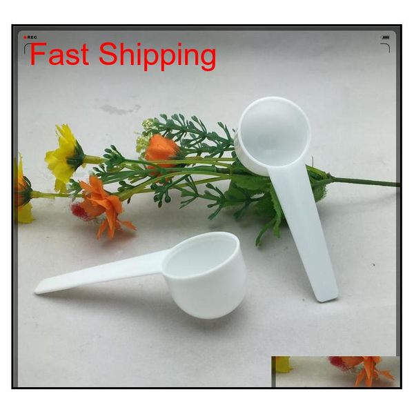 

measure plastic spoon plastic measuring scoop 5g measure s qylcmu homes2011