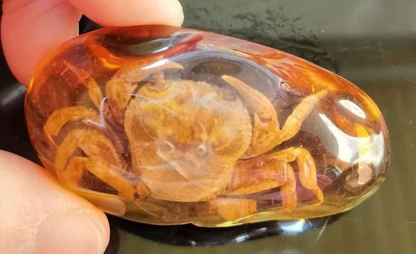 

fashion big size real crab keychain, Slivery;golden