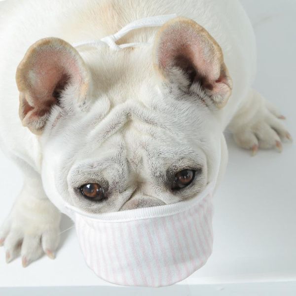 

pets cover protective face pet mascherine for layers striped 3 printed mouth puppy doggy 5ad dust respirator dog mask supplies 9 masks tuww