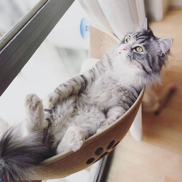 

cat pet window hammock bed window pod lounger suction cups warm bed for pet cat rest house soft and comfortable ferret cage