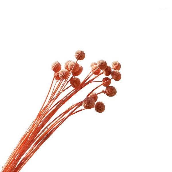 

the most popular natural billy balls-craspedia globosa golden ball1