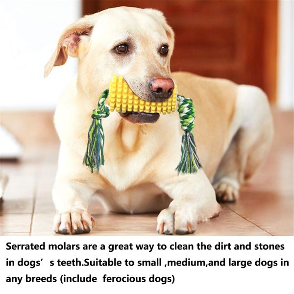

2020 новый pet cat dog toys, кусающие кукурузные молярные палочкистой зубной щеткой с веревкой, играя в погоню за пределы жевательной продук
