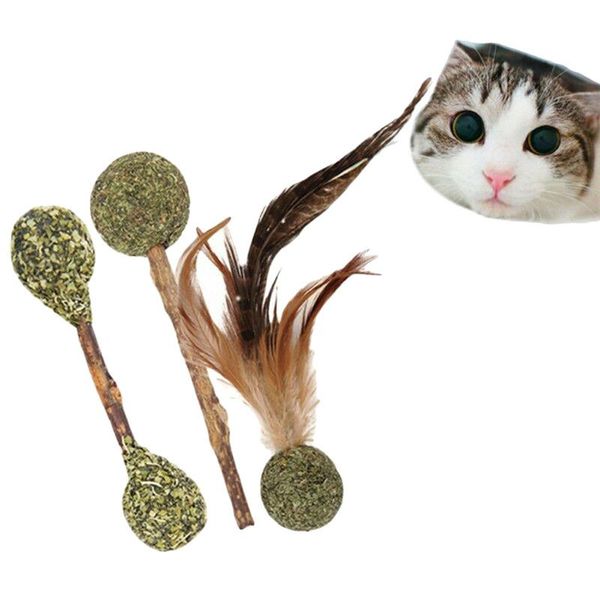 

cat toys natural catnip pet toy mint organic premium flavor kitten stick ball supplies