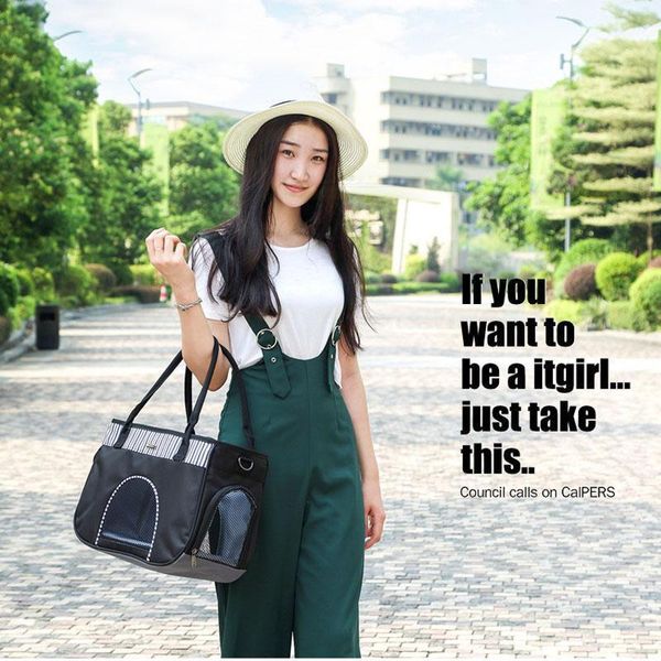 

dog car seat covers fashion bag small carrier portable handbag breathable cat chihuahua dogs1