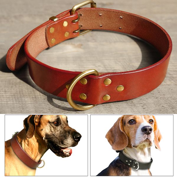 

real dog skin necklace with durable d-ring and black golden brown s ml xl clasp