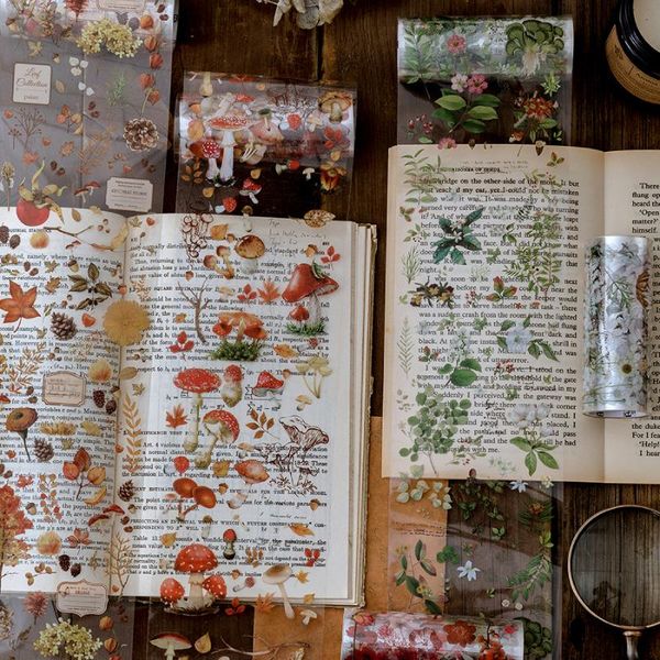 

10cm botanical illustration diary paper tape pet transparent tape diy scrapbook label label masking tape wmthcp