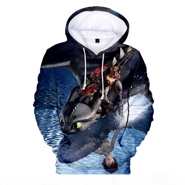 

how to train your dragon 3d printed hoodies women men fashion hooded sweatshirts 2019 arrival casual streetwear clothes, Black