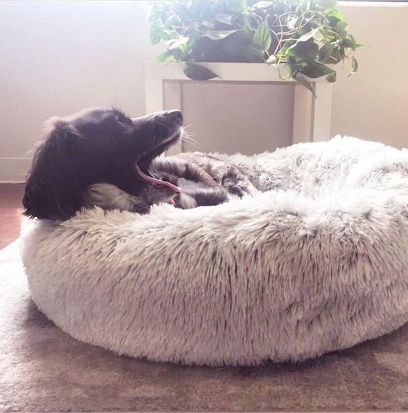 

cat beds & furniture pet dog bed winter warm washable sofa mats kennel comfortable non-slip house for puppy small cats supplies