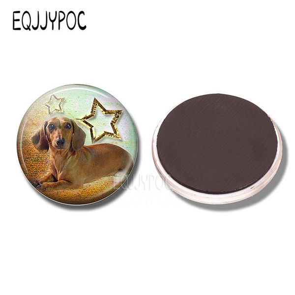 

yellow brown dachshund 30mm fridge magnet handmade weiner dog glass domerefrigerator magnets sticker cute animals kitchen decor wmtjqf