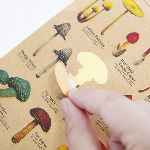 

2016 s lot kraft paper sticker for learning fruit fish vegetable plant insect animal vintage stationery school supplies 6132 h