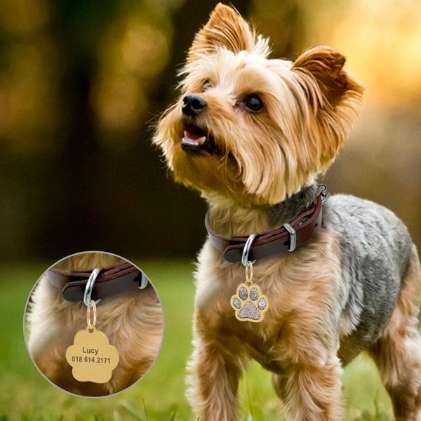 

engraved pet dog id tag personalized cat puppy id tag pet dog collar accessories custom dogs anti-lost name tags wmtgvo