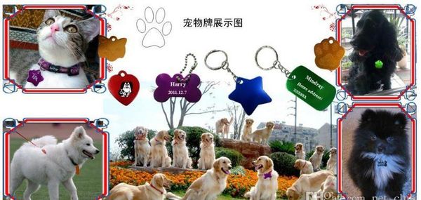 

diy dog id tags 100pcs/lot double sides pet tags premium aluminum bone 3.8*2 wmtlav dh_garden