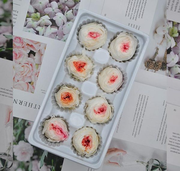 

1 box eternal flower austin rose flower diameter 4-5cm preserved flowers bbyhjc bdesports