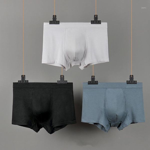 

men's modal boxer mens underwear boxershort scrotum care function youth health seoul convex boxer l-xxxl1, Black;white