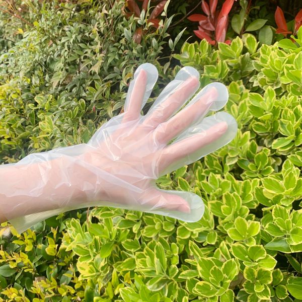 

factory6cgb safy gloveoutlet5k7l 100pcs hand disposable plastic