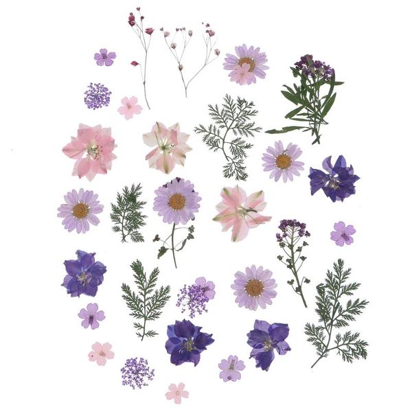 

decorative flowers & wreaths 27pcs/set real natural dried mixed for diy art craft