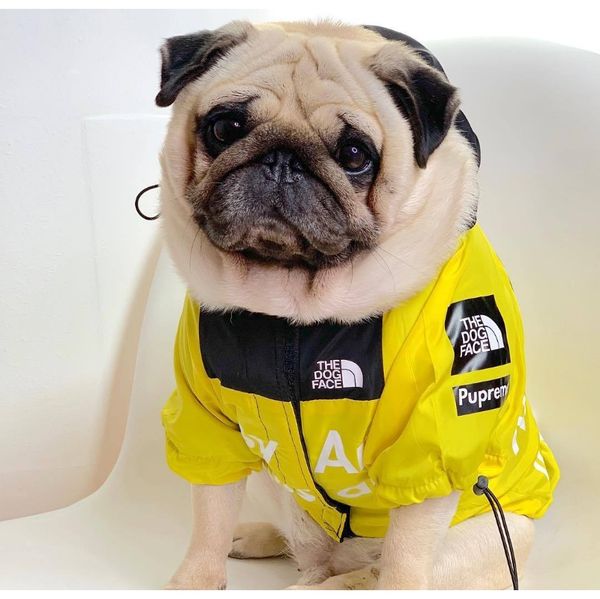 

сша национального флага мода ветрозащитных непромокаемой собака собака больших собака плащи pet куртка wmtkmv item_home