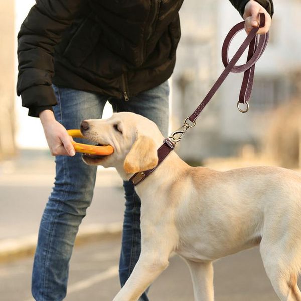 

1.5m real leather dog leash rope pet walking running leash lead for small medium large dogs genuine leather pets st bbytns