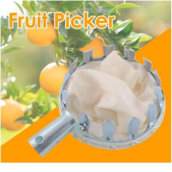 

metal fruit picker orchard gardening peach high tree picking tools without pole fruit catcher collector for garden bbygpc