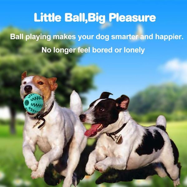 

funny pet dog toys nontoxic bite resistant toy ball for pet dogs puppy dog food treat feeder tooth cleaning ball chihuahua wmtzhw