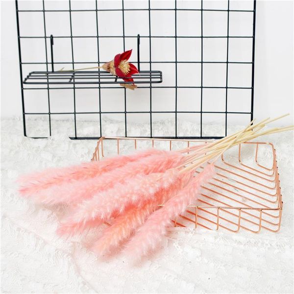 

15 pcs dried small pampas grass phragmites communis decoration for home l wedding1
