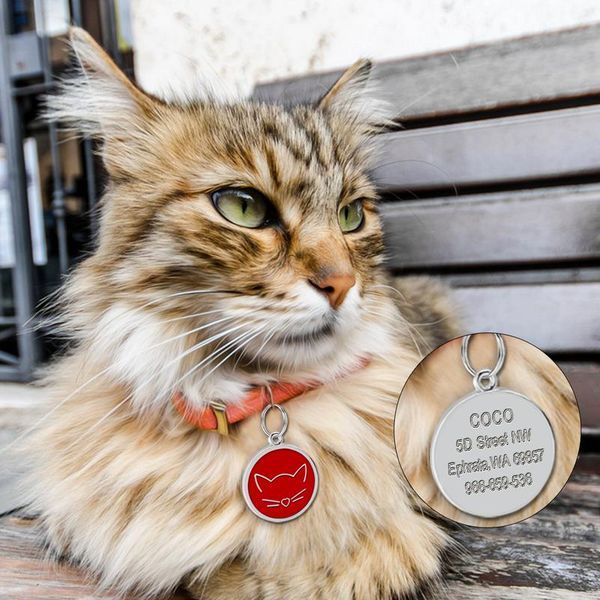 

stainless steel personalized dog id tag customized engraved cat pet tags kitten name phone no. nameplate round b bbyeks