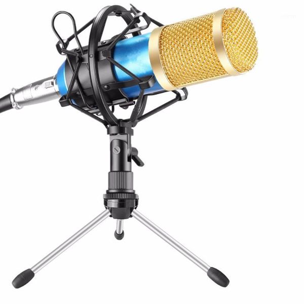 

microphones bm-800 professional condenser microphone bm800 kit:microphone for computer+ mount+foam cap+cable as bm 800 microphone1