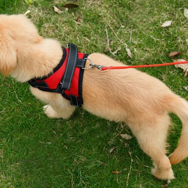 

adjustable nylon heavy duty dogs supplies for dog pet harness collar padded extra big harnesses vest husky