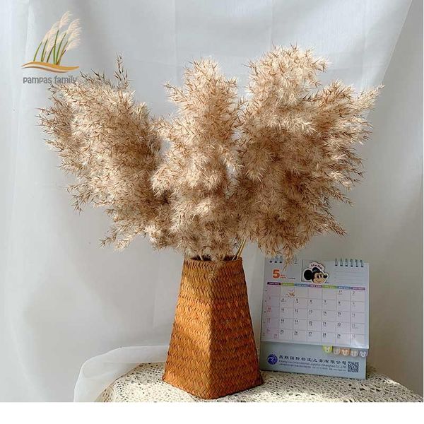 

пампасская трава декор растений главная свадебное декор сушеные цветы пучкой цветы перо натуральные фрагмементы высокие 20-22 '' плас бьяпк